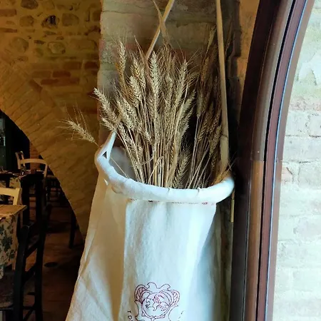 Bed & Breakfast Torre Della Botonta
