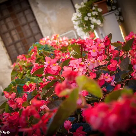 Bed & Breakfast Torre Della Botonta Castel Ritaldi