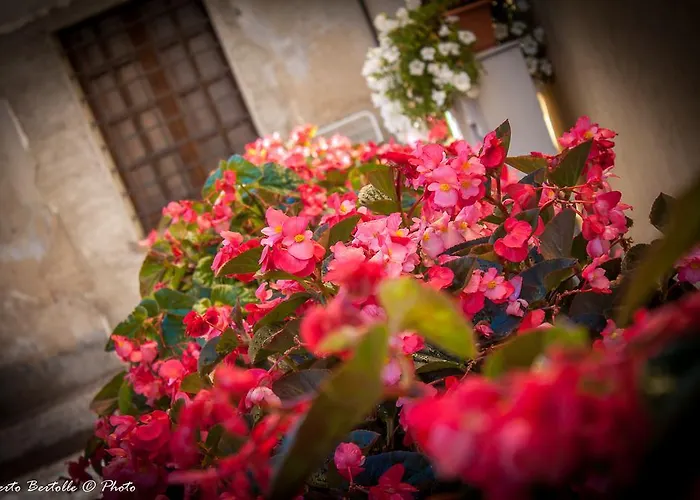 Bed & Breakfast Torre Della Botonta Castel Ritaldi